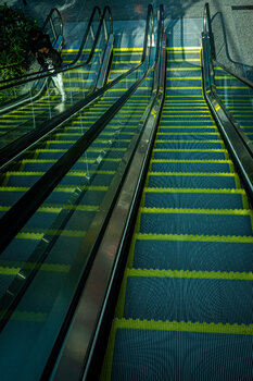 Escaltor David Bourbasquet