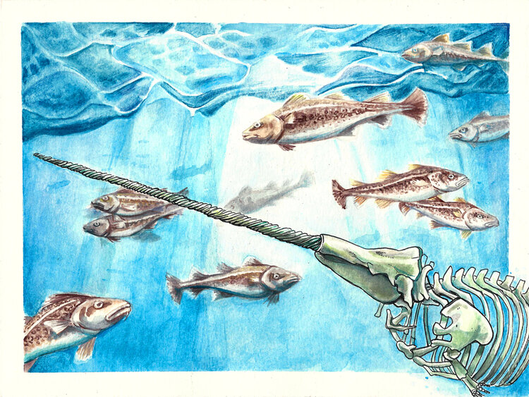 Pesca sin arpón Laura Torrico