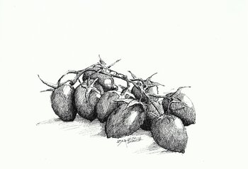 POMODORI PICCADILLY on watercolour paper Fabrizio Cancelliere