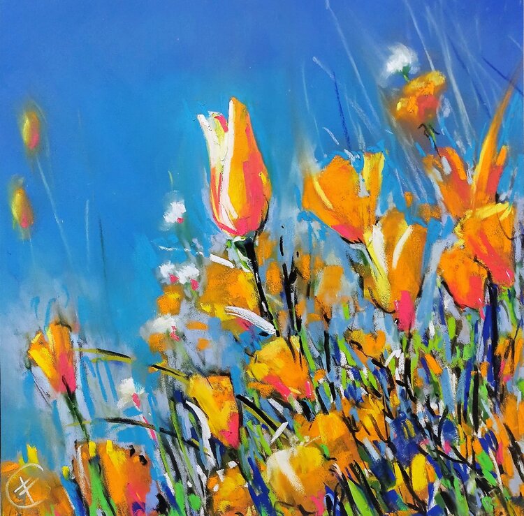 FIORI DI PRATO Fabrizio Cancelliere