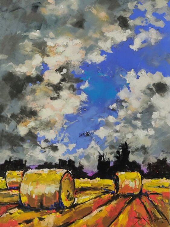 VOGLIA DI CAMPAGNA Fabrizio Cancelliere