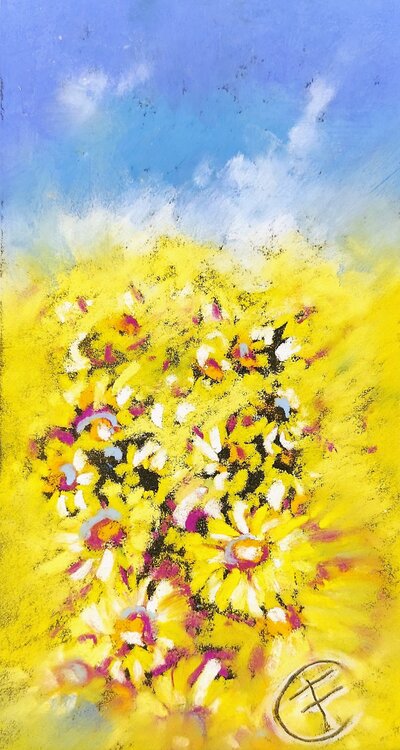 CAMPO DI FIORI GIALLI (3 copie disponibili) Fabrizio Cancelliere