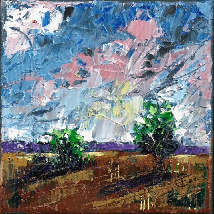 Serie 'CAMPO SERENO' Fabrizio Cancelliere