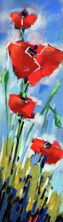 Papaveri (Poppies) (LE FOTO CON CORNICE SONO SOLO A SCOPO ILLUSTRATIVO) Fabrizio Cancelliere