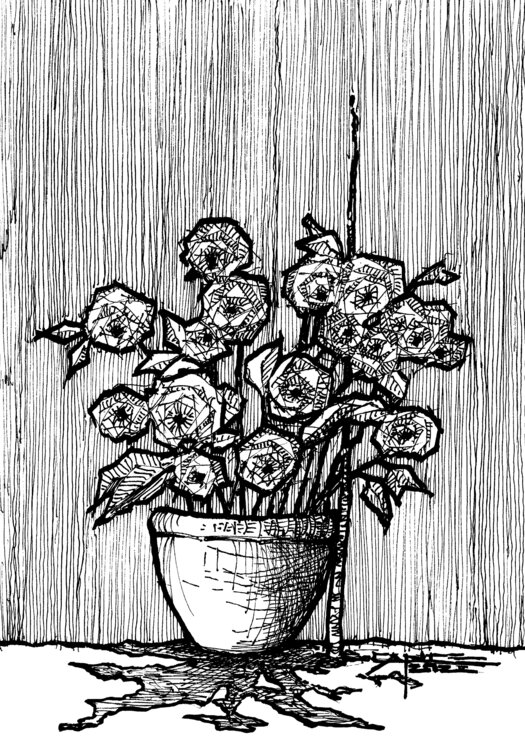 FIORI Fabrizio Cancelliere