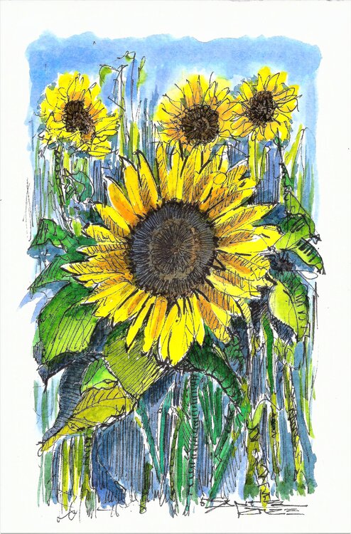 GIRASOLI Fabrizio Cancelliere