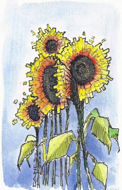 GIRASOLI Fabrizio Cancelliere