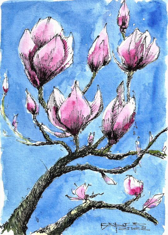 MAGNOLIA Fabrizio Cancelliere