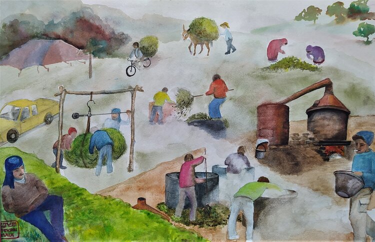 Labeur Yung-Marina CO TRUNG