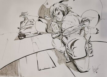 Course épique Willy HERVY