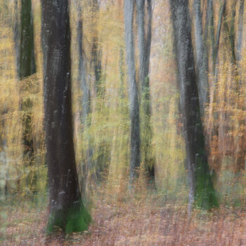 Invitation Christine MOSNIER