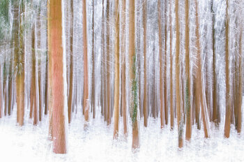 Coquette Christine MOSNIER