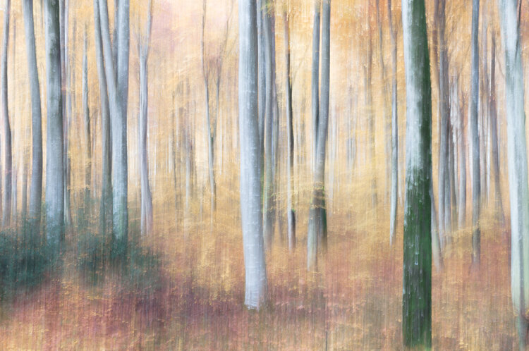 Enchanteresse Christine MOSNIER