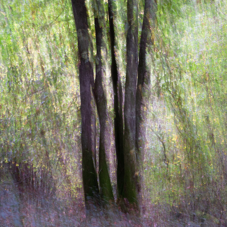 Scintillements Christine MOSNIER