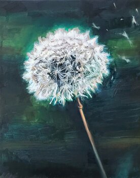 Taraxacum Paolo Mori