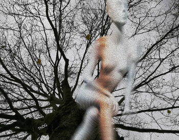 Et tourbillonne le vent ... 