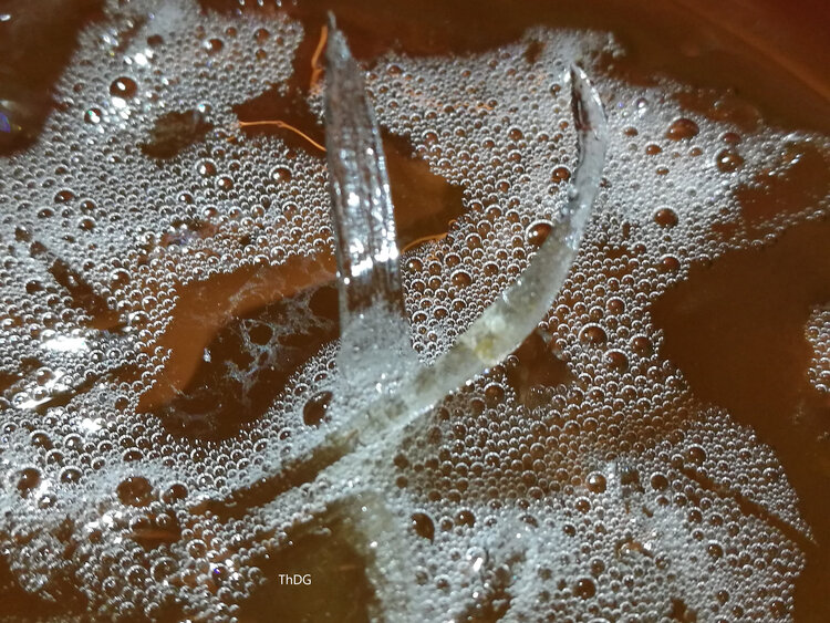 De bulles en bulles ThDG