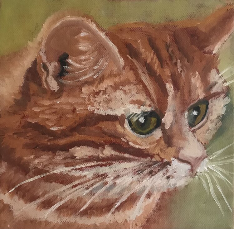 Der rote Kater Roswitha Langemeier
