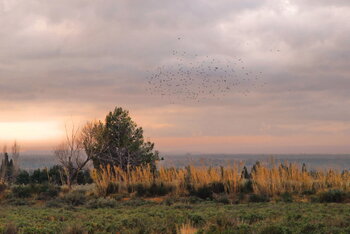 Paysage en couleur de France dans les Bouches du Rhône  vers le massif des Alpilles Chantal Gayaud
