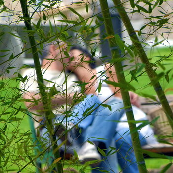 Les amoureux sur les bancs publics Chantal Gayaud