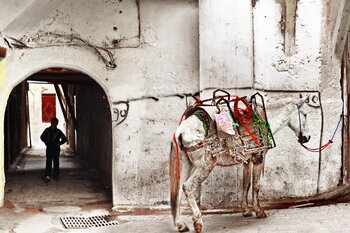 Dans les souks de la ville de Fès  au Maroc Chantal Gayaud