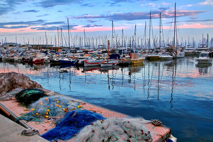 Le port  de plaisance de la ville de Cannes en France Chantal Gayaud