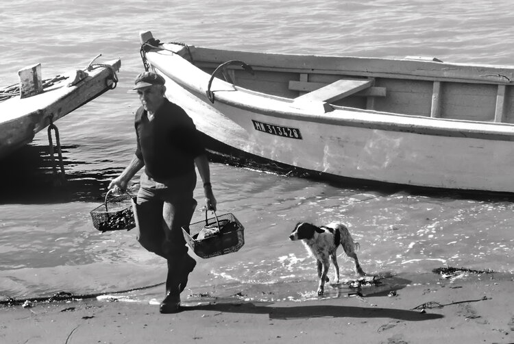 Le pêcheur de coquillages Chantal Gayaud