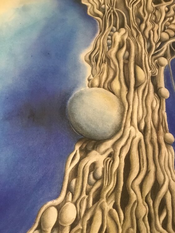 Aufstreben Gerald Gebert