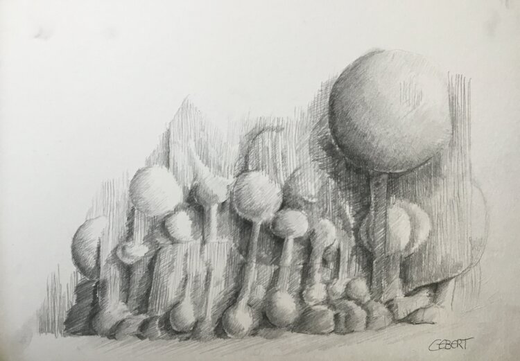 Wald Gerald Gebert