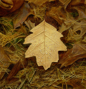 Tropfenblatt Nicolina Schöfer-Wimmer