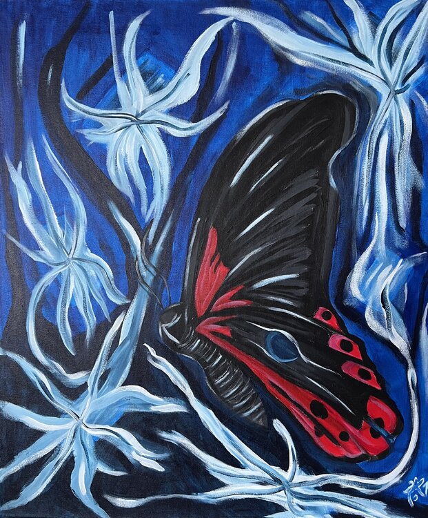Mariposa 3 Richard Murer