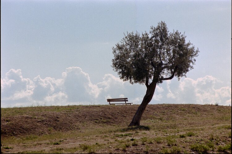 Un paesaggio di campagna #1 Stefano Brandimarte