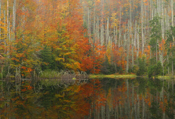 Herbststimmung  an der Martinsklause Karl Seidl