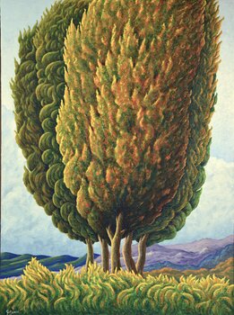 CIPRESSI  3.3 Giuliano Monechi