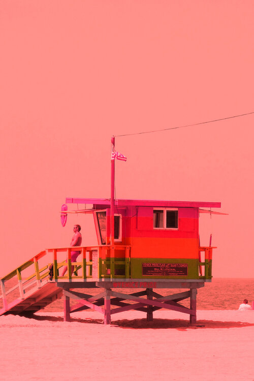 Pink Venice Marie Régy