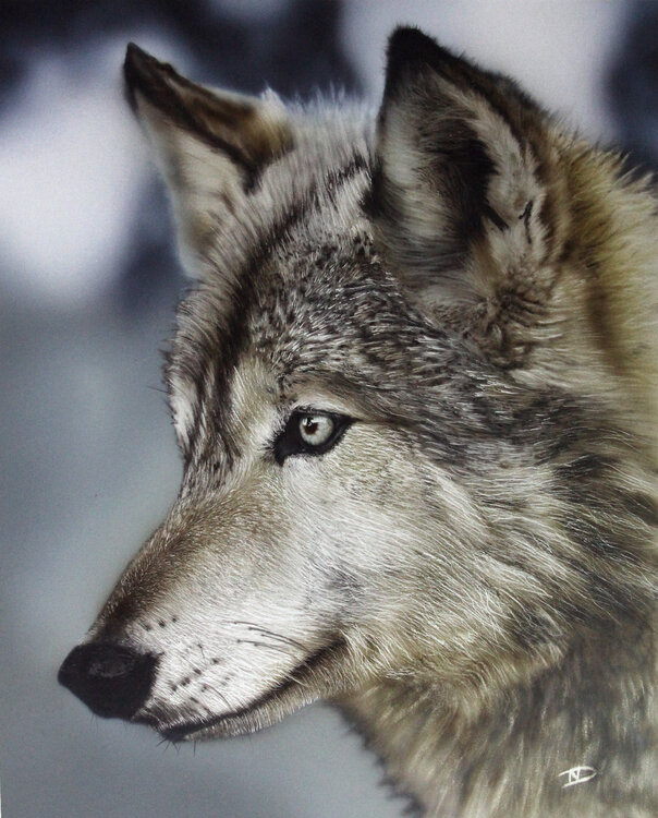 The Watcher Vanessa Van dromme