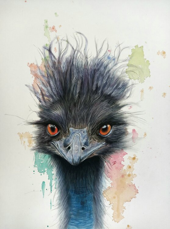 Goodmorning Vanessa Van dromme