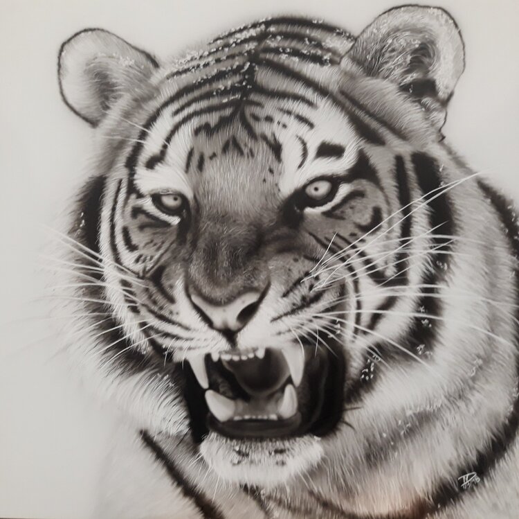 Tiger Vanessa Van dromme