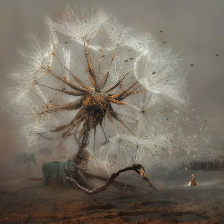 Schirmherr 2023 Frank Melech