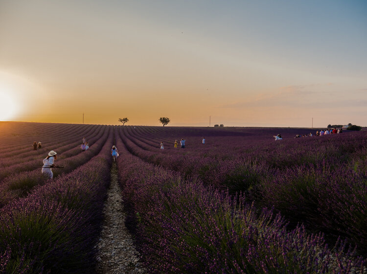 Provence RODRIGO