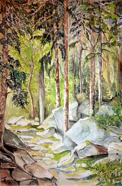 Romantischer Waldpfad Friedrich Kleinlein