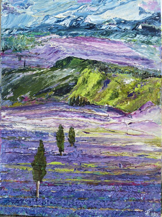 Lavendelfelder in der Provence Friedrich Kleinlein