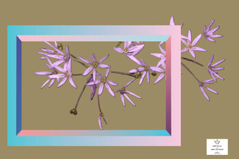 RIQUADRO PRIMAVERILE 0.2 WORLDLIFE77 keep kalm e keep distance