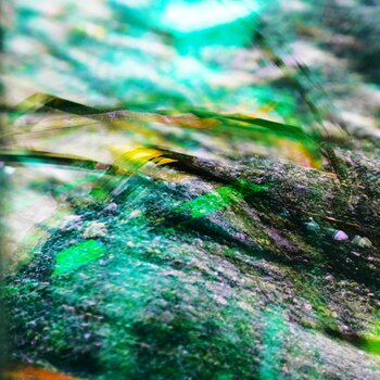 Picture on aluminium Peter de Groot