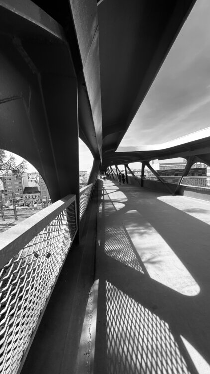 Pedestrian Bridge in Esch/Alzette - Luxembourg Diana Raycheva