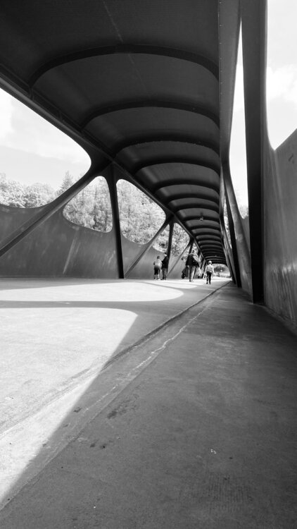 Luxembourg - Pedestrian Bridge in Esch/Alzette Diana Raycheva