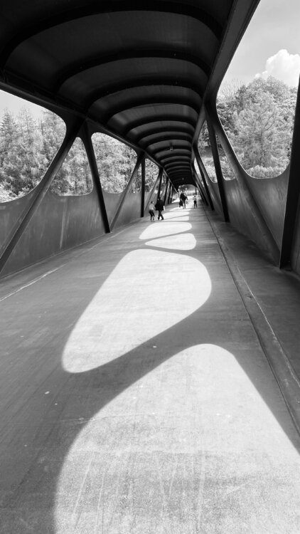 Luxembourg - Pedestrian Bridge in Esch/Alzette Diana Raycheva