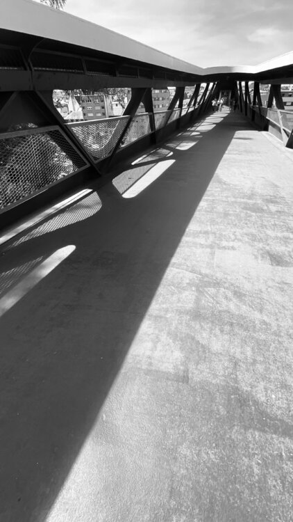 Pedestrian Bridge in Esch/Alzette - Luxembourg Diana Raycheva