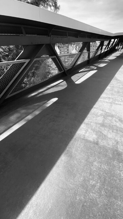 Pedestrian Bridge in Esch/Alzette - Luxembourg Diana Raycheva