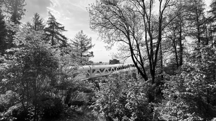 Luxembourg - Pedestrian Bridge in Esch/Alzette Diana Raycheva